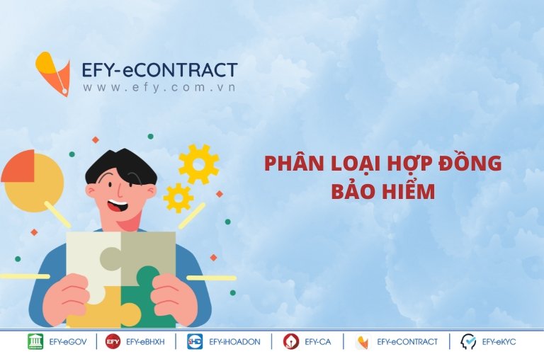 phân loại hợp đồng bảo hiểm