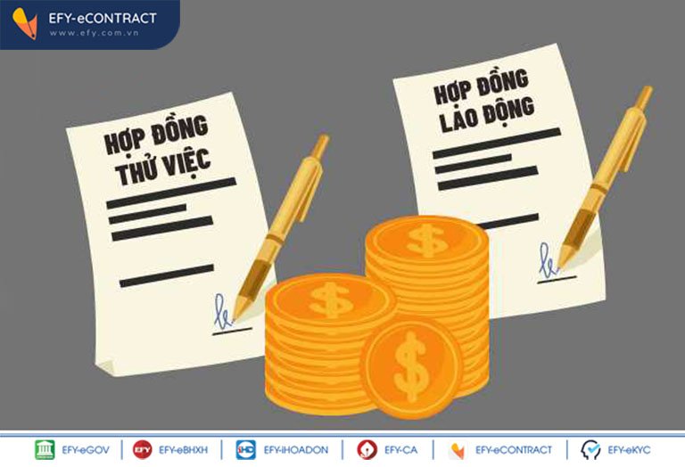 Hợp Đồng Thử Việc Là Gì? Mẫu Hợp Đồng Thử Việc Mới Nhất