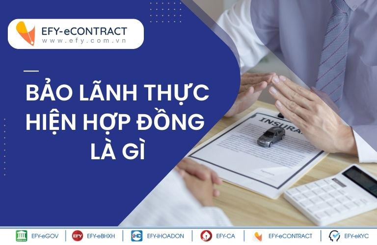 bao-lanh-thuc-hien-hop-dong